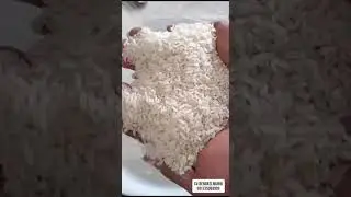 Rmu, rmu plant, rmu elevator selep padi elevator giling padi elevator mol padi pabrik padi elevator 