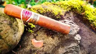 Romeo y Julieta Short Churchill • Zigarren Review