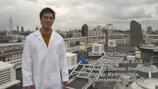 Pollen counting on the Roof of the Strand, with Kris Chan