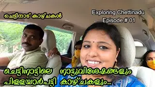 Karaikudi | Pillayarpatti | Exploring Chettinadu EP # 01 | places to visit in Chettinad