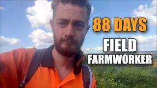 Working as a Field Farmworker in Australia - 88 Days