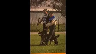 IGP | preparazione al lavoro di morso