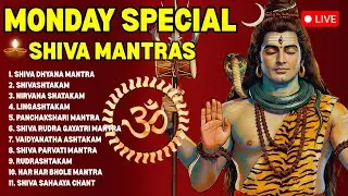 🔴 LIVE 🔴 Monday Special Powerful Lord Shiva Mantras | Non-stop Shiva Bhakti Mantras