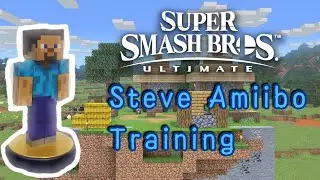 Steve Amiibo Training Part 1