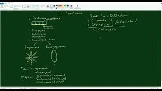Лекция 8 Cnidaria Hydrozoa