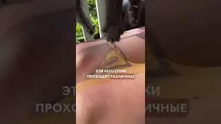 СУПЕР ПРОЧНЫЕ КОЛГОТКИ