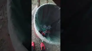 Trash Can Open And Shut sound effect 🗑️