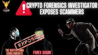Crypto News for Drip Network Animal Farm Forex Shark Identity coming soon