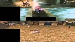 Lineage II Pride