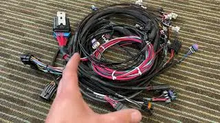 HCR custom Holley EFI wiring harness