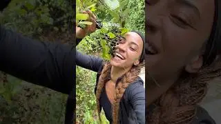 Мускатный виноград лучше, чем ваши поливитамины 🍇 #травотерапия #травы