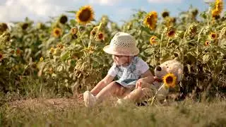 Teddy & Ellie May in the SUNFLOWERS