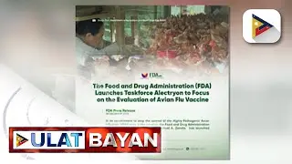 Task Force Alectryon na susuri sa potensyal na bakuna kontra bird flu, inilunsad ng FDA