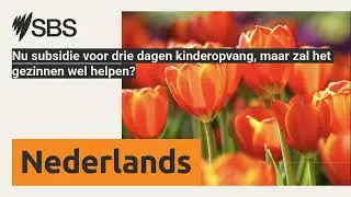 Nu subsidie voor drie dagen kinderopvang, maar zal het gezinnen wel helpen? | SBS Dutch - SBS...