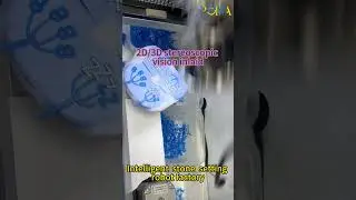 Intelligent robot manufacturer , machine vision by AI technology .