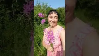 #Бурятия#собираю#иван#чай#делаю#чай#