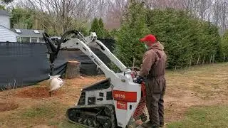 Ground Prep for Living Fence Evergreen Tree Installation