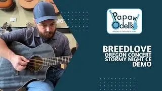 Breedlove Oregon Concert Stormy Night CE Acoustic Guitar with LR Baggs Demo