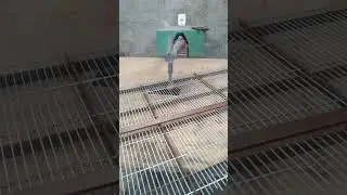 processo de fabrica&ccedil;&atilde;o das gaiolas pra codorna
