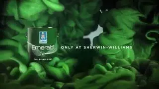 Emerald&trade; by Sherwin Williams | TCB Painting | Tulsa