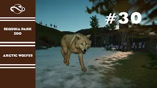 ARCTIC WOLVES | SEQUOIA PARK ZOO | EPISODE 30 | REAL TIME FRANCHISE GAMEPLAY