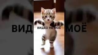 8 июня 2024 г.