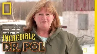 33 Years With the Doc - Client Tales | The Incredible Dr. Pol