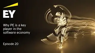 Why PE is a key player in the software economy