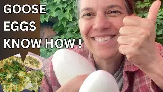 Best Omelette Ever ! | Cooking with Goose Eggs in Rural France 🥚 #FrenchVillageLife #OmeletteRecipe