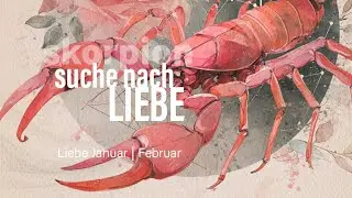 Skorpion Liebe Januar | Februar: Suche nach Liebe❣️