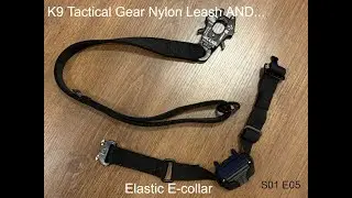 K9 Tactical Gear Elastic E collar AND Nylon Leash S01 E05