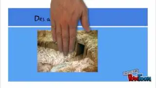 Les aboiteau