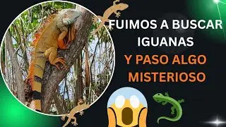 Fuimos a buscar iguanas y paso algo MISTERIOSO 