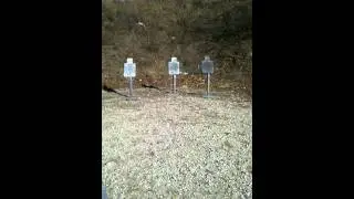 Steel shots