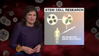 Japan scientists claim stem cell breakthrough