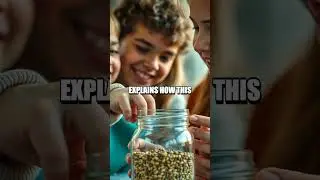 Sprout Jar Adventures for Curious Families
