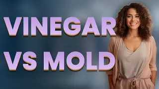 Can Vinegar Effectively Kill Household Mold?