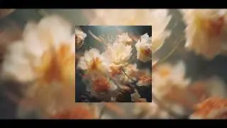 Dartro & miradeep. - Safer
