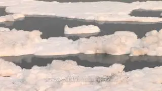 Detergent pollution in Yamuna River