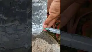 Smart idea with a Syringe and Bottle! #diy #lifehacks