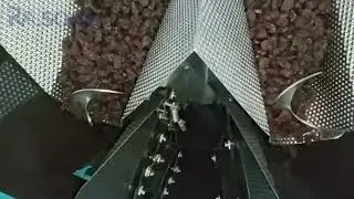 Raisins, dried goods, multihead weigher, packaging machine#machine