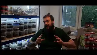 Jak nie dać zrobić się w ch*ja, kupując lub sprzedając ptaszniki I nie tylko?🤔 Vlog nr 1
