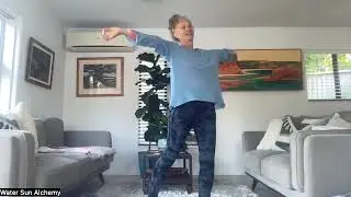 Water Sun Alchemy Qi Gong - Organ Clearing and Grounding