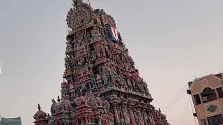 சாரதி எம்பெருமான் தை அமாவாசை திருவீதி உலா