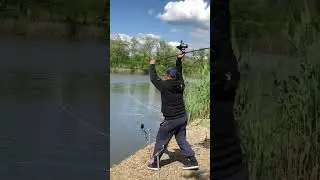 11 мая 2023, заброс под корягу #carpfishing #поймалотпусти #carp  #zb #золотойберег #бойлы