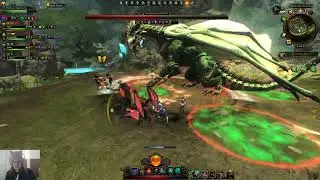 Neverwinter Green Dragon Fight