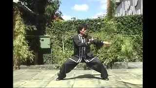 Aquecimento principio Louva a Deus. Mestre Lap Wah Ng