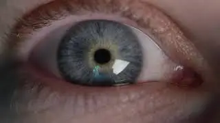 4K Blue eye opening macro