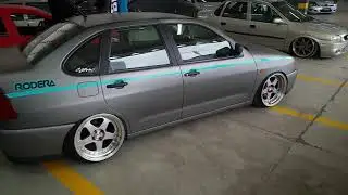 Polo Classic Custom