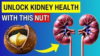 Macadamia Nuts and Kidney Health | 7 Science-Backed Benefits You Should Know